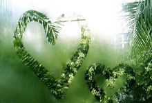 天涯神贴十大排名盘点：那些年我们追过的经典帖子